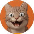 Cat profile photo